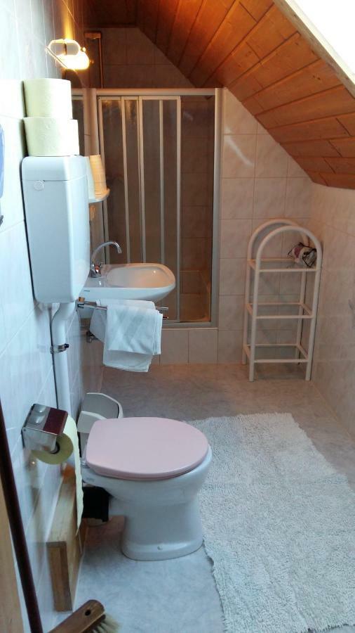 Pension - Bauernhof Sankt Lorenzen ob Murau Buitenkant foto