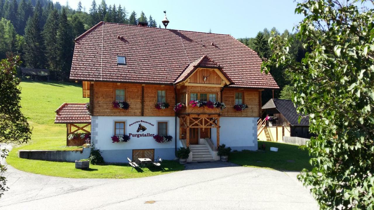 Pension - Bauernhof Sankt Lorenzen ob Murau Buitenkant foto